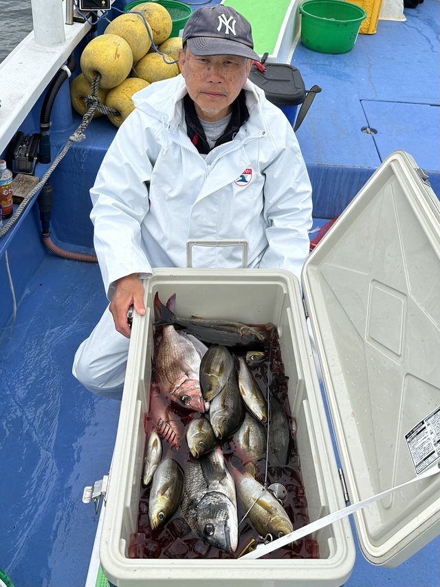 マダイ・クロダイ・イサキ