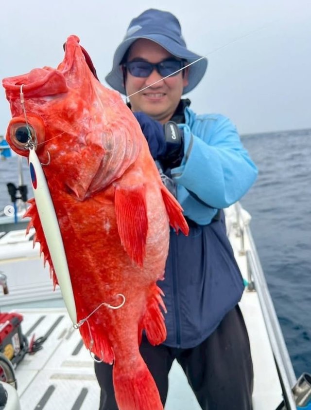 メヌケ(アコウダイ)