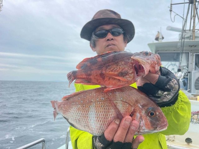 マダイ・カサゴ