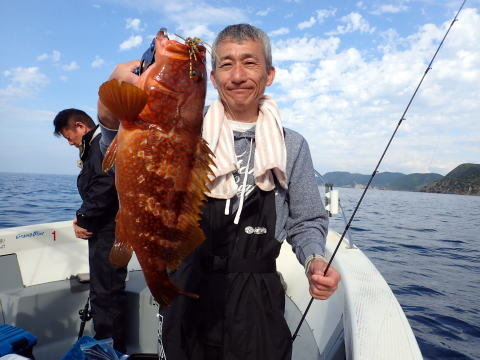 アコウ(キジハタ)