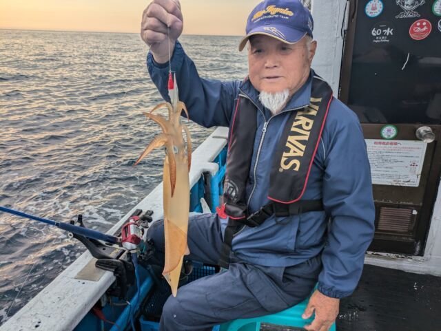 マイカ(ケンサキイカ)