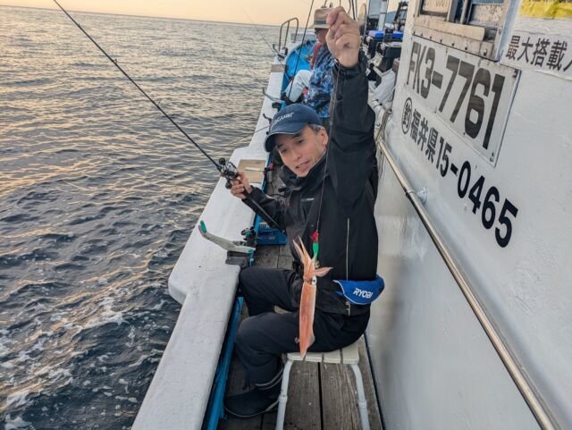 マイカ(ケンサキイカ)