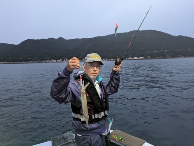 マイカ(ケンサキイカ)