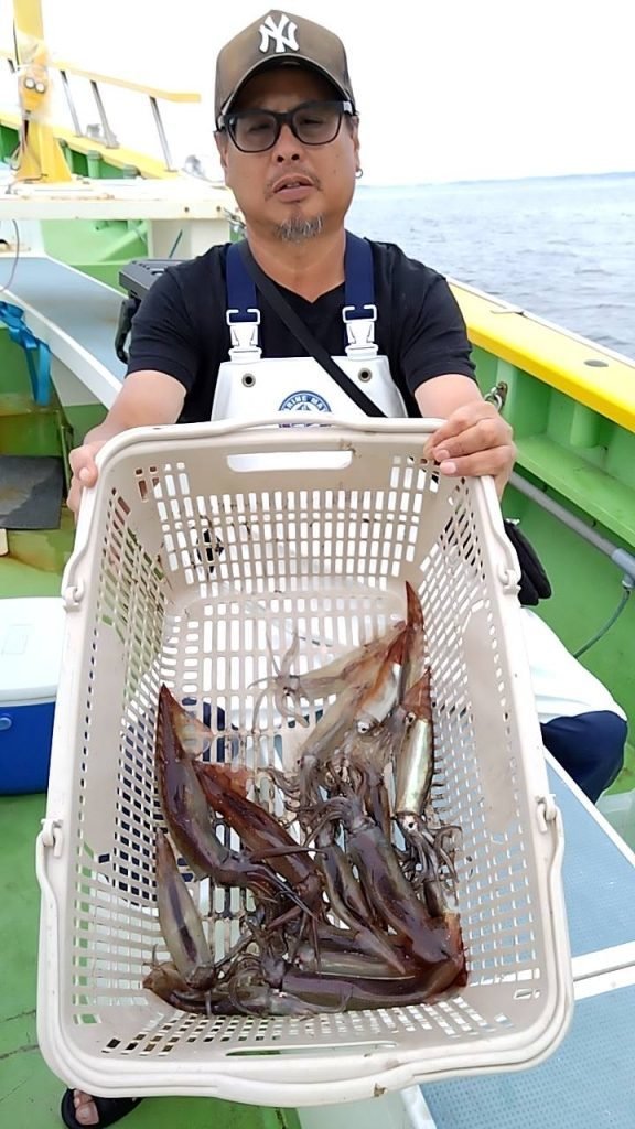 ムギイカ(スルメイカ)