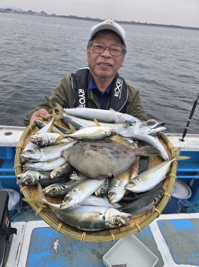 アジ(マアジ)・イサキ