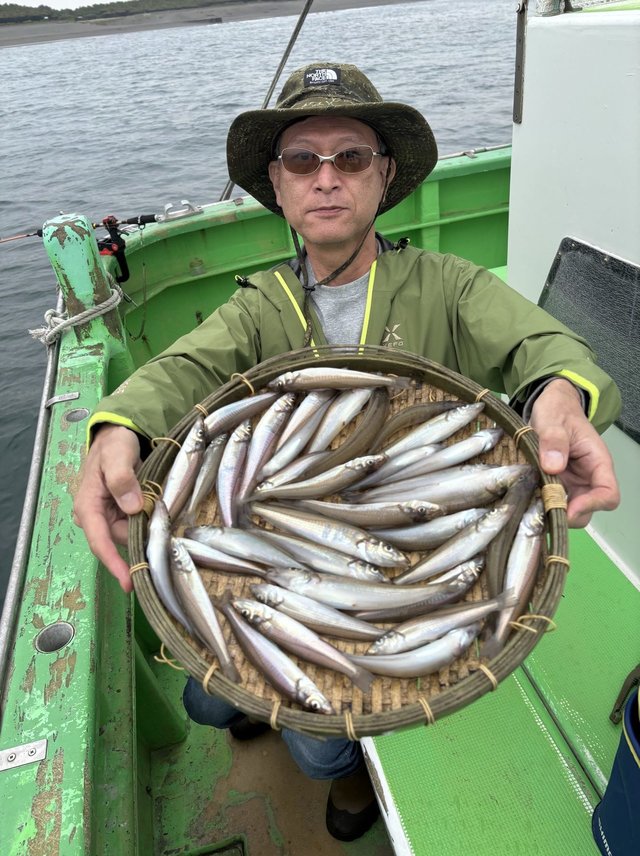 キス(シロギス)