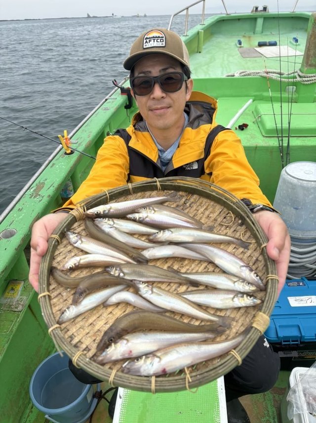 キス(シロギス)