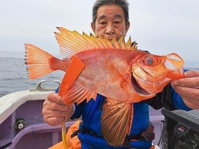 キントキ(チカメキントキ)