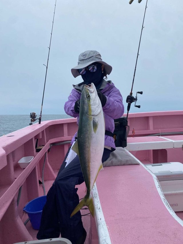 サンパク(ブリ)