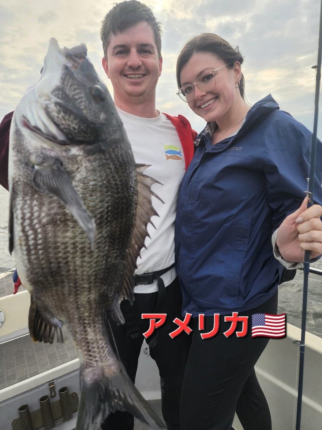 チヌ(クロダイ)