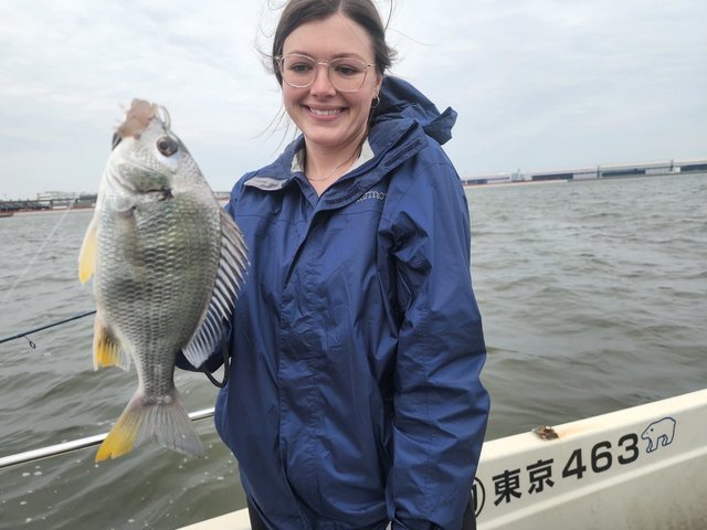 キビレ(キチヌ)