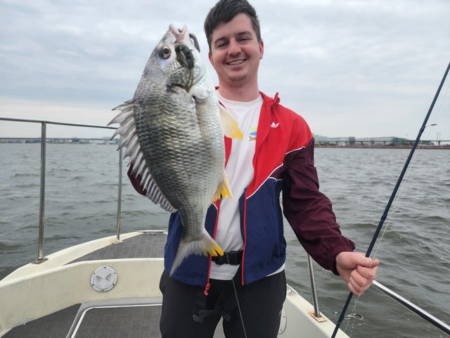 キビレ(キチヌ)