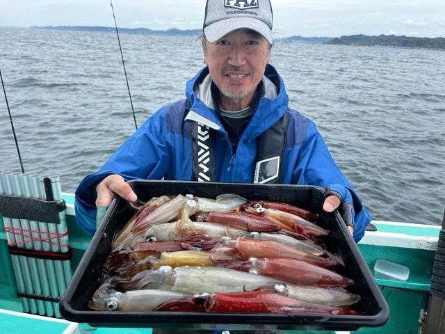 マルイカ(ケンサキイカ)・ムギイカ(スルメイカ)