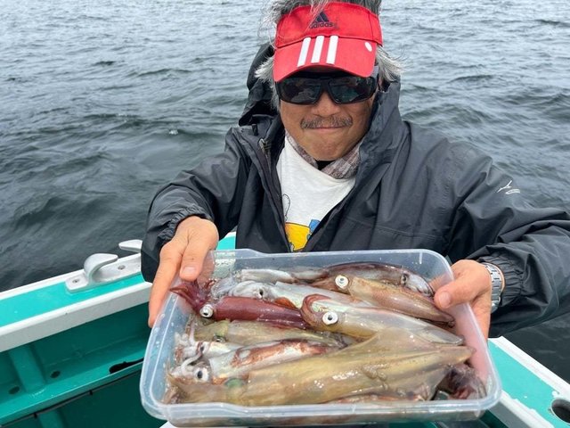 マルイカ(ケンサキイカ)