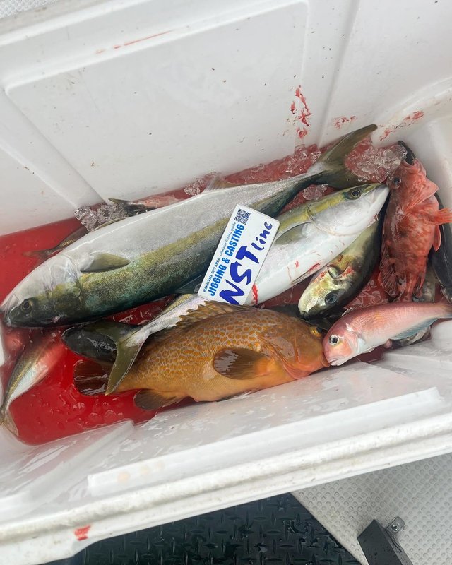 アコウ(キジハタ)・アジ(マアジ)・ハマチ(ブリ)・アマダイ(アカアマダイ)・カサゴ・サバフグ(シロサバフグ)