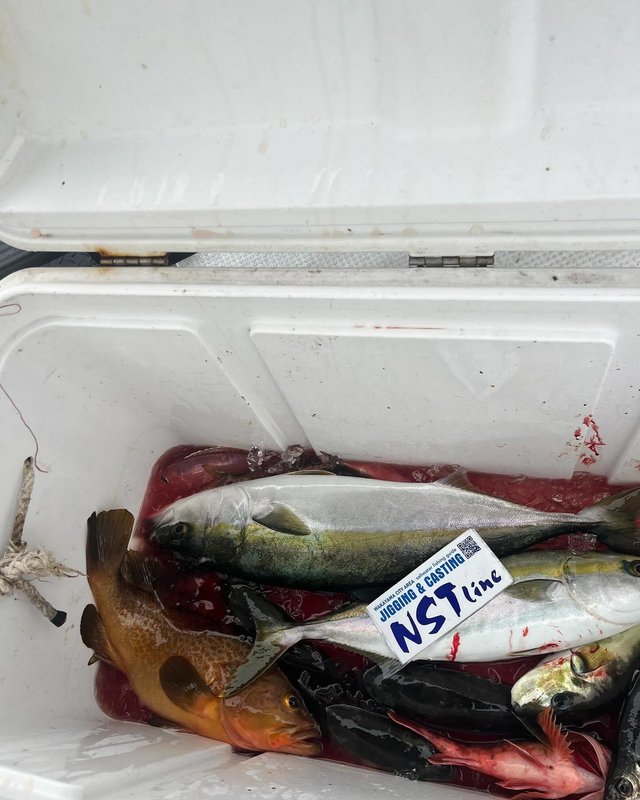 アコウ(キジハタ)・アジ(マアジ)・ハマチ(ブリ)・アマダイ(アカアマダイ)・カサゴ・サバフグ(シロサバフグ)