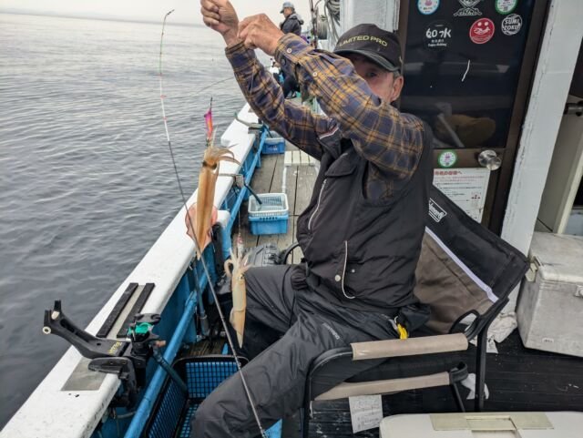 マイカ(ケンサキイカ)