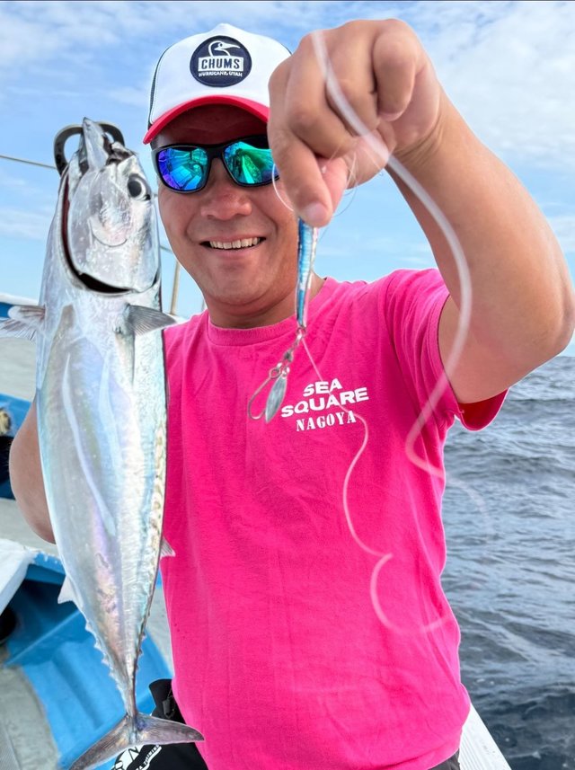 サバ(ゴマサバ)