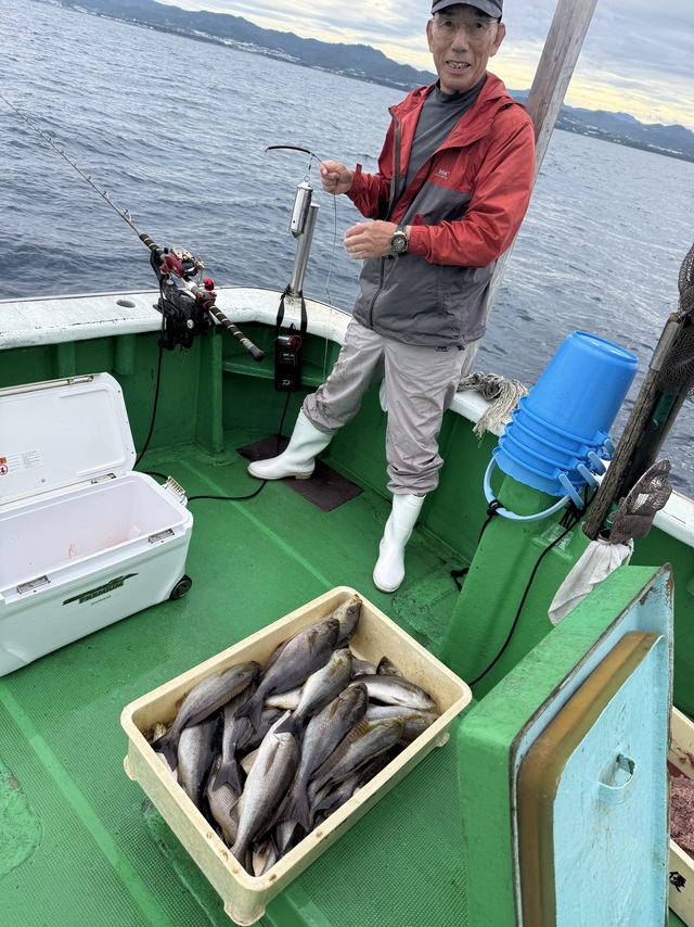 イサギ(イサキ)