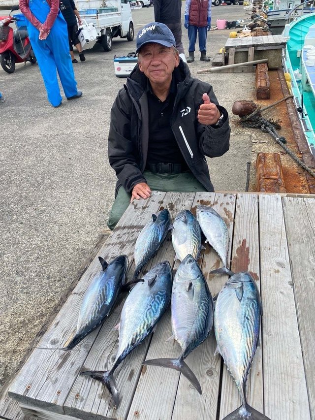 スマガツオ(スマ)