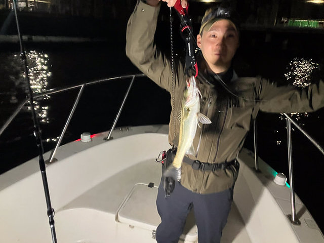 シーバス(スズキ)