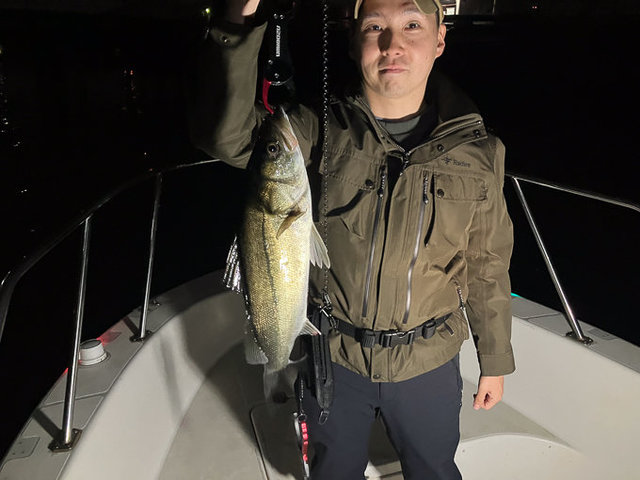 シーバス(スズキ)