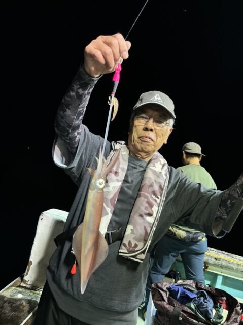 マイカ(ケンサキイカ)