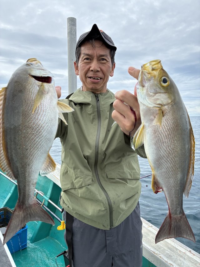 イサギ(イサキ)