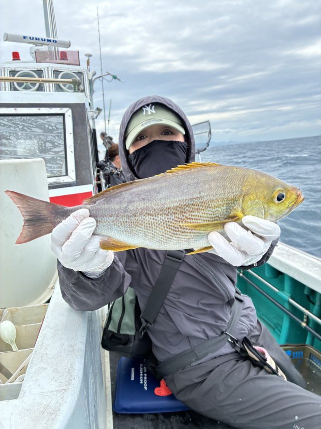 イサギ(イサキ)