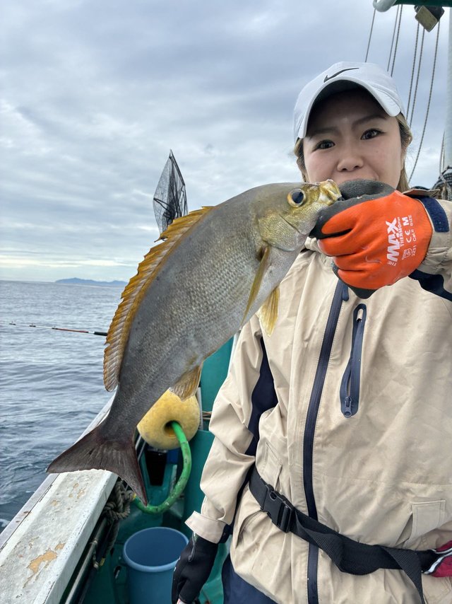 イサギ(イサキ)