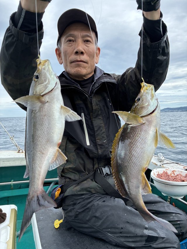 イサギ(イサキ)