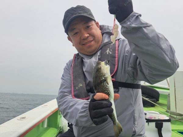 ショウサイフク(ショウサイフグ)