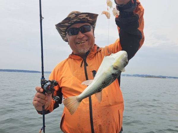 ショウサイフク(ショウサイフグ)