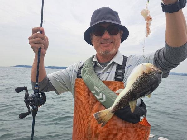 ショウサイフク(ショウサイフグ)