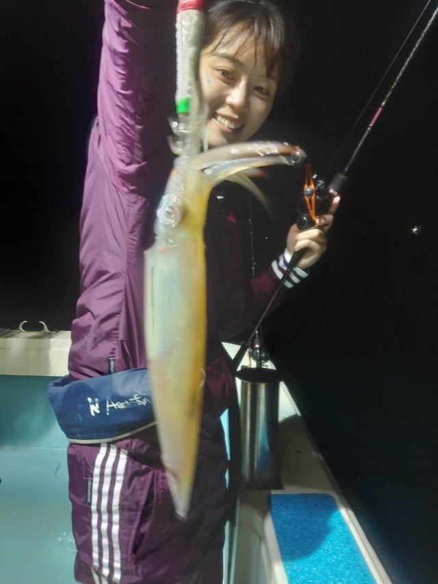 イカ(ヤリイカ)