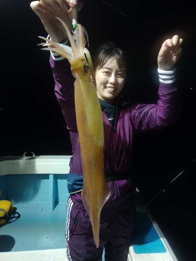 イカ(ヤリイカ)