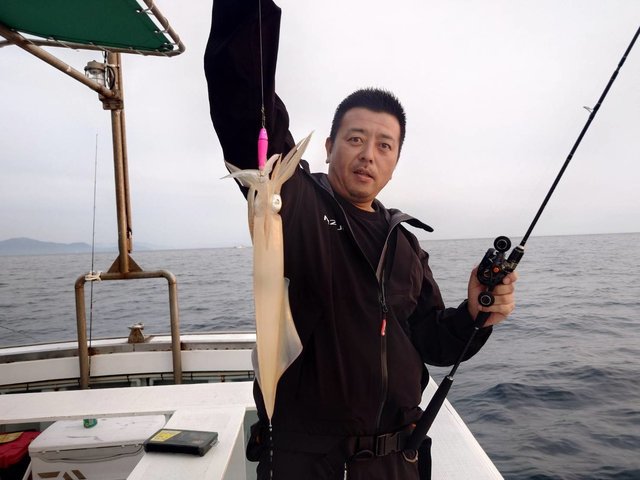 マイカ(ケンサキイカ)