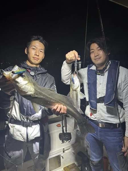 シーバス(スズキ)