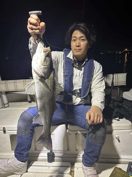 シーバス(スズキ)