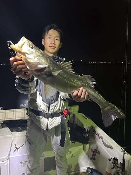 シーバス(スズキ)