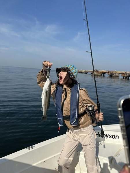 シーバス(スズキ)