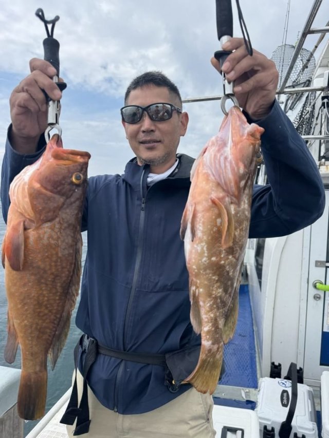 アコウ(キジハタ)