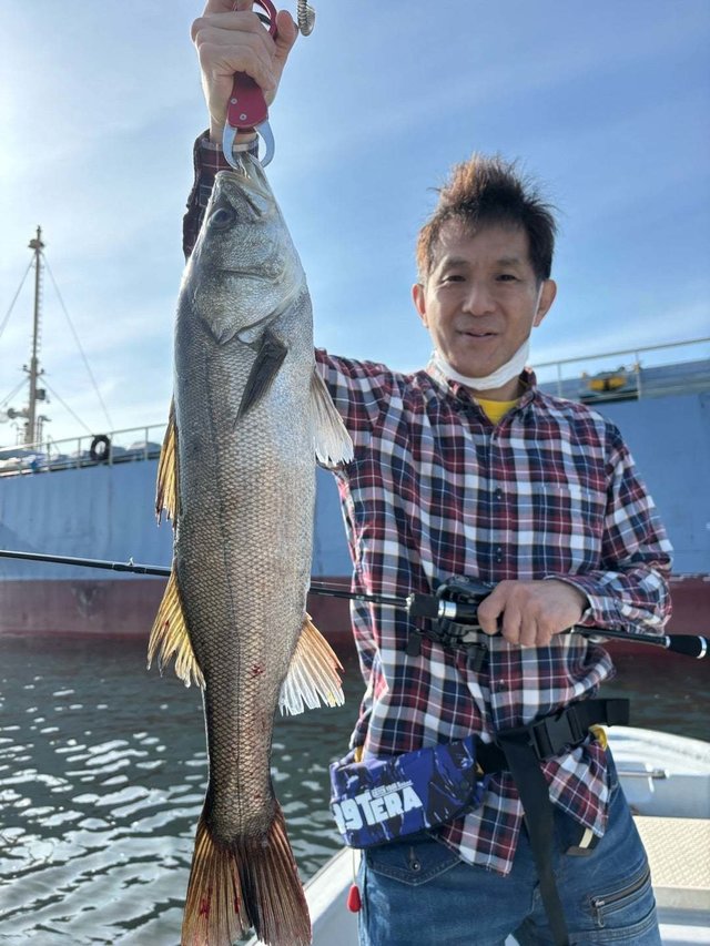 シーバス(スズキ)