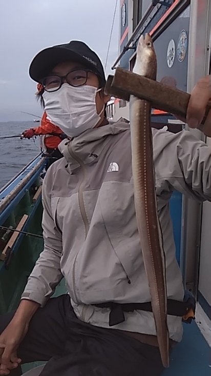 アナゴ(マアナゴ)