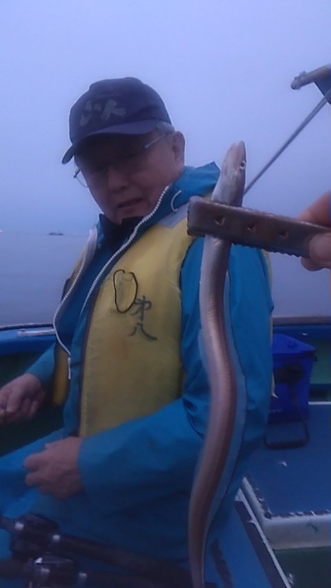 アナゴ(マアナゴ)