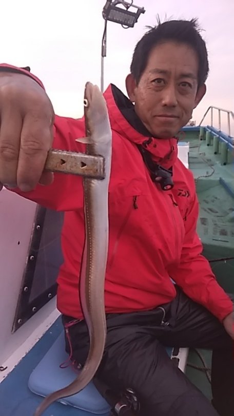 アナゴ(マアナゴ)