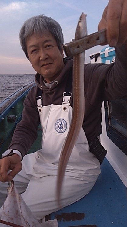 アナゴ(マアナゴ)