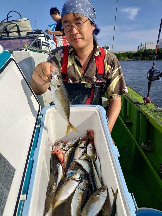 アジ(マアジ)・カサゴ