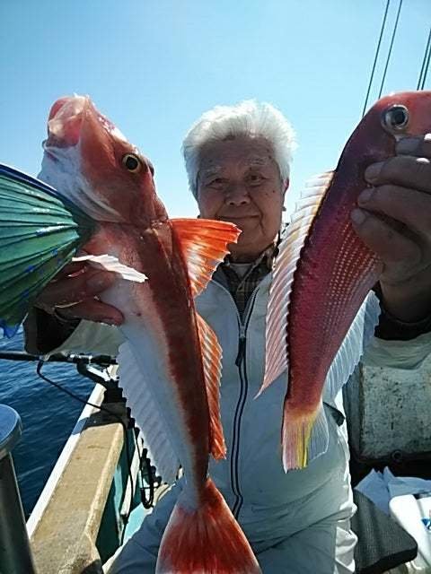 アマダイ(アカアマダイ)・ホウボウ