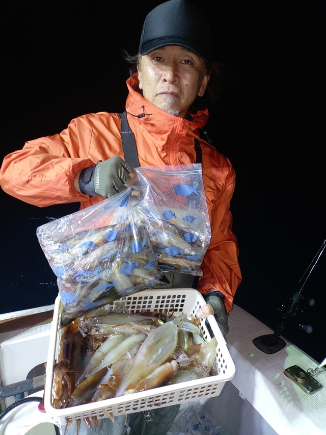 ムギイカ(スルメイカ)